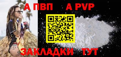 СК Новодвинск