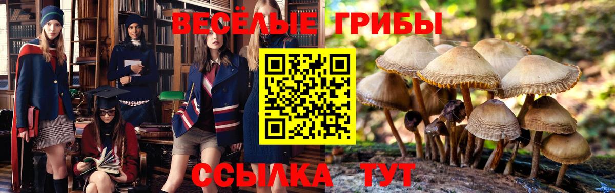 Псилоцибиновые грибы Cubensis Зеленокумск
